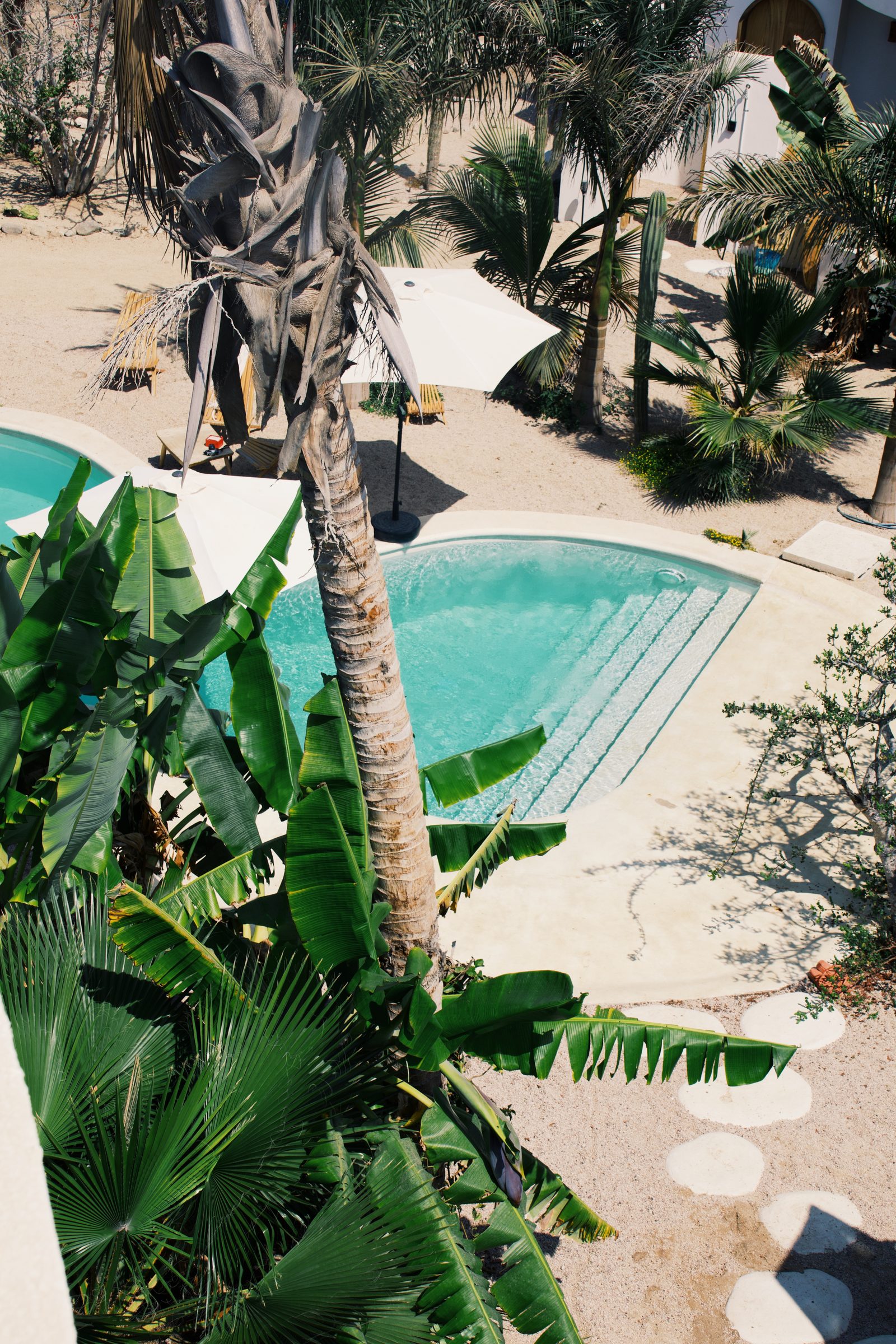 Luna Del Mar villa suites on Cerritos Beach, Baja California Sur